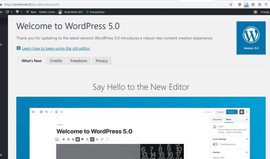 Pengalaman wordpress 5.0