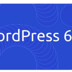 Update WordPress 6.1.1